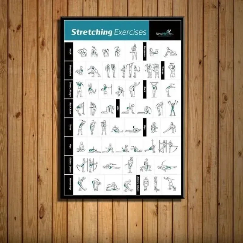Body Exercise Training Chart G - огляд і ціна Home Gym Minimalist