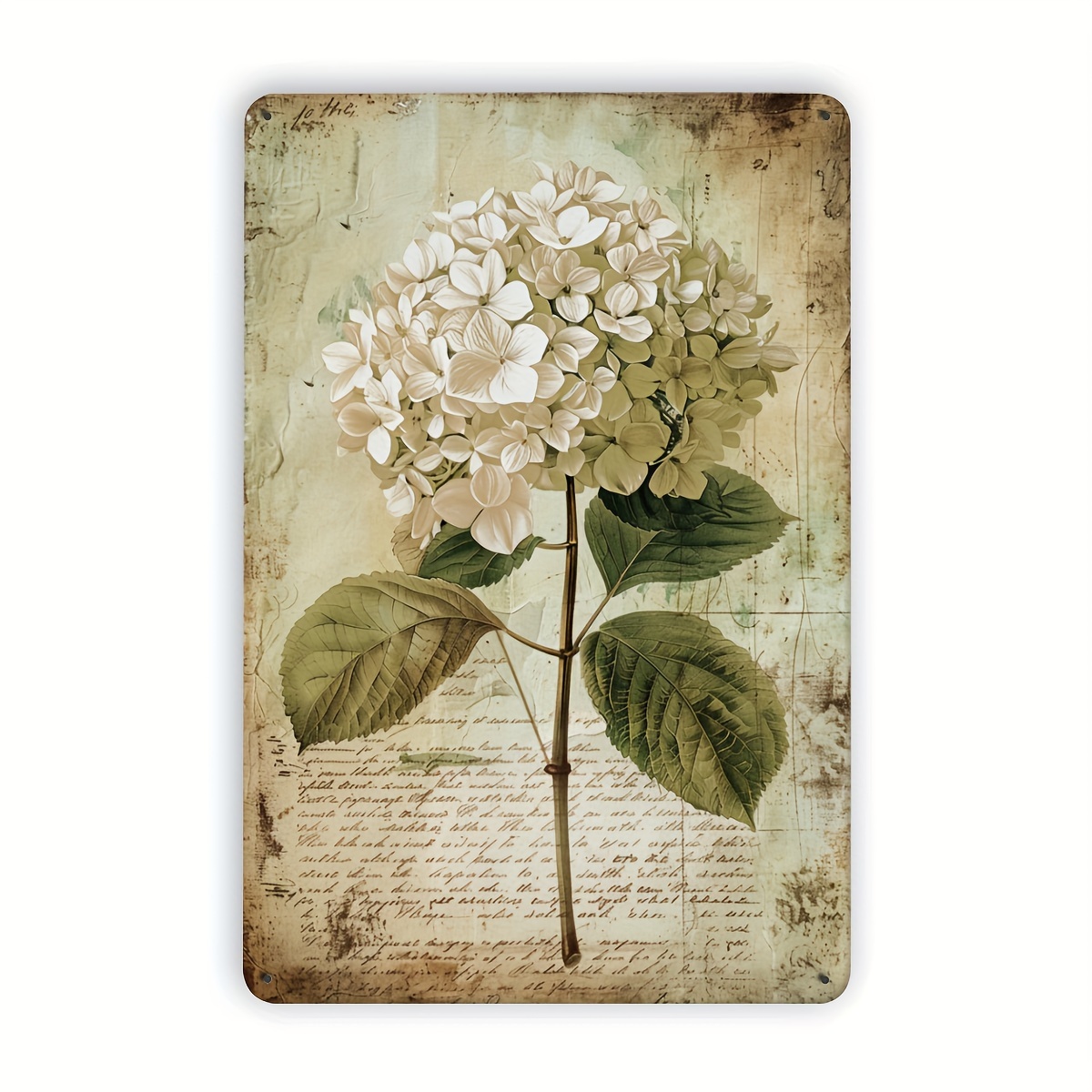 2D Flat, 2D Flat Hydrangea Vin - огляд і ціна Home Gym In Garage