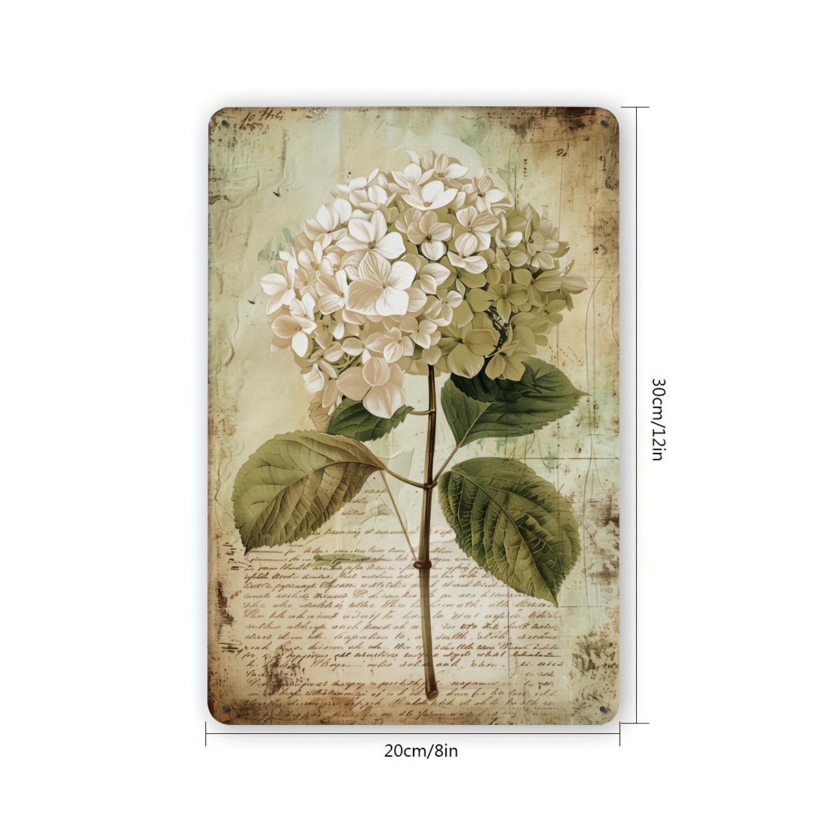2D Flat, 2D Flat Hydrangea Vin - огляд і ціна Home Gym In Garage