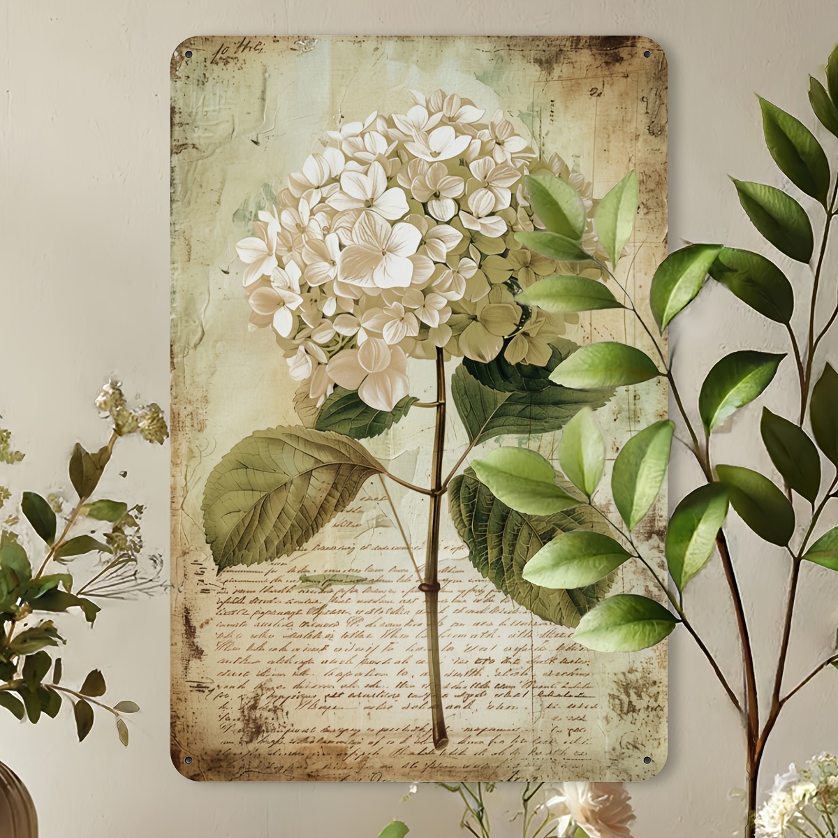 2D Flat, 2D Flat Hydrangea Vin - огляд і ціна Home Gym In Garage